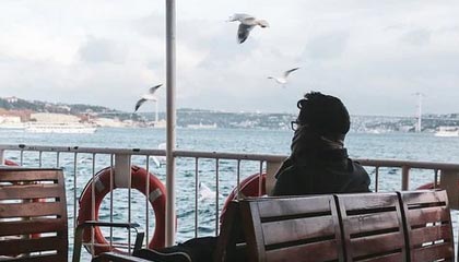 从茶园到茶桌:广佛精品茶室的选茶标准