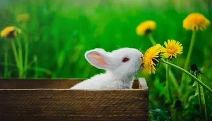 【2025最新】广佛高端私人茶室TOP10,品味与格调并存